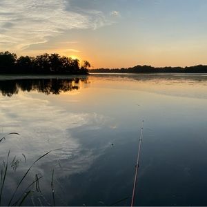 Meet your Posher, Phillip